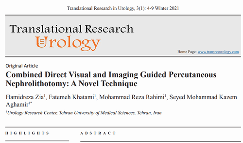 Combined Direct Visual and Imaging Guided Percutaneous Nephrolithotomy: A Novel Technique